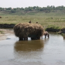 Fording the Claniţa River