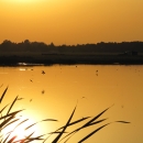 Sunset in Teleorman Valley