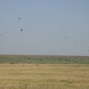 The valley floor