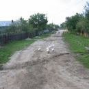 Măgura back street 01